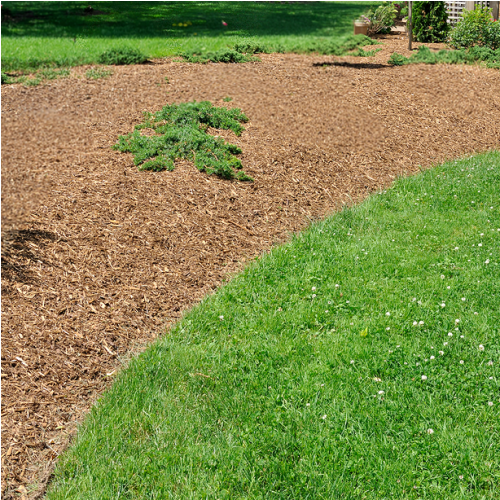 Texas Cut Mulch thumbnail 4