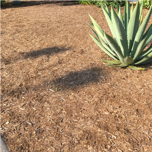 Texas Cut Mulch thumbnail 5