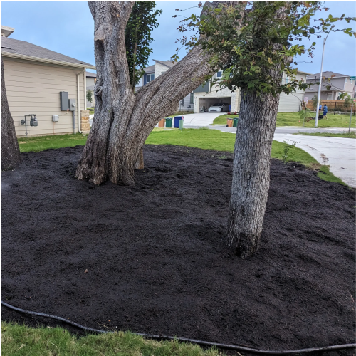 Black Dyed Mulch thumbnail 4