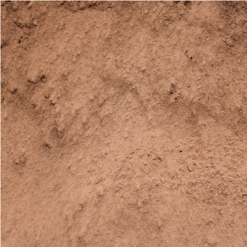 Sandy Loam