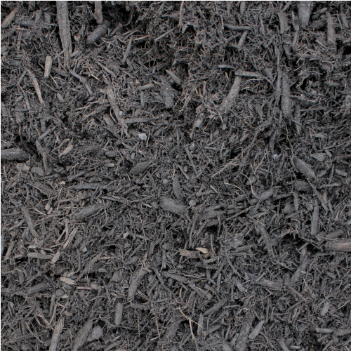 Black Dyed Mulch