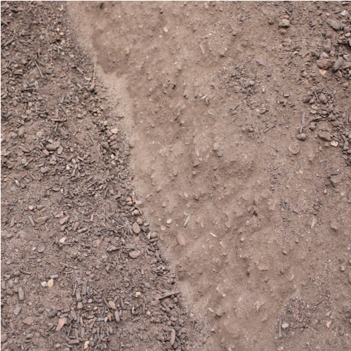 Flower & Garden Soil