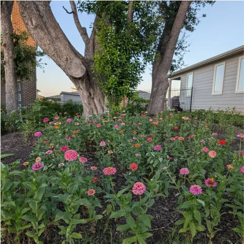 Flower & Garden Soil thumbnail 5