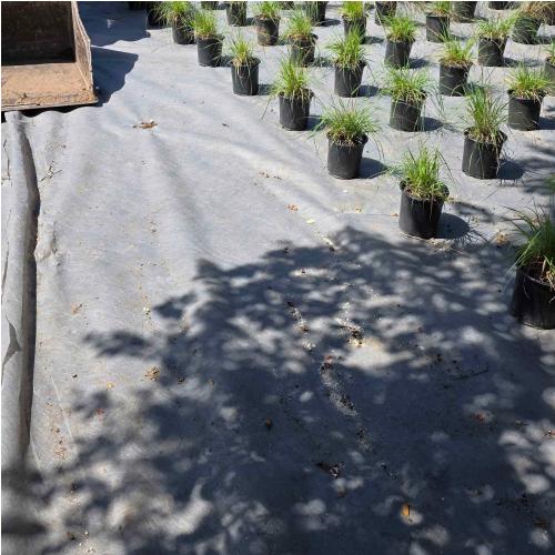 Weed Barrier Fabric thumbnail 2