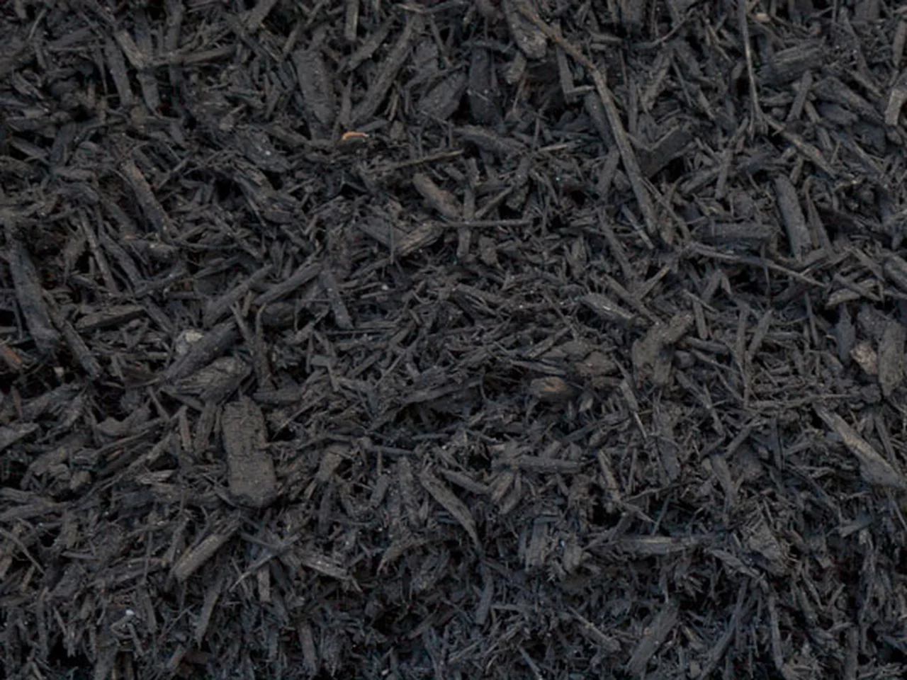 Black Dyed Mulch