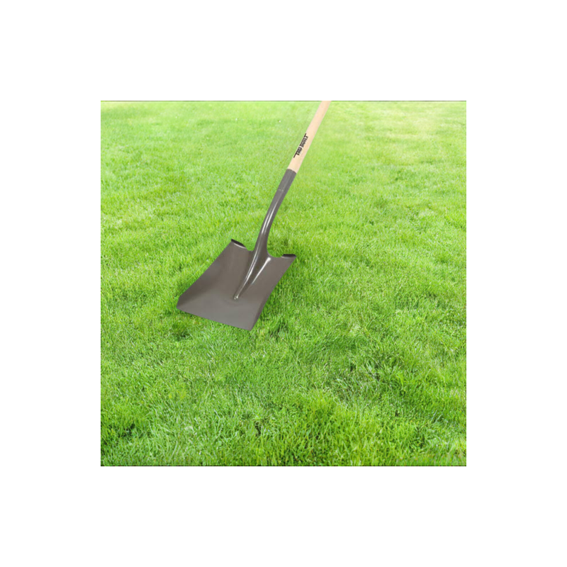 Square Point Shovel