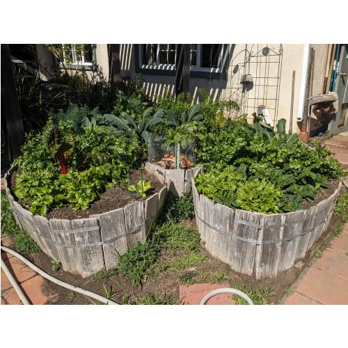 Grower's Mix Premium Organic Soil thumbnail 3