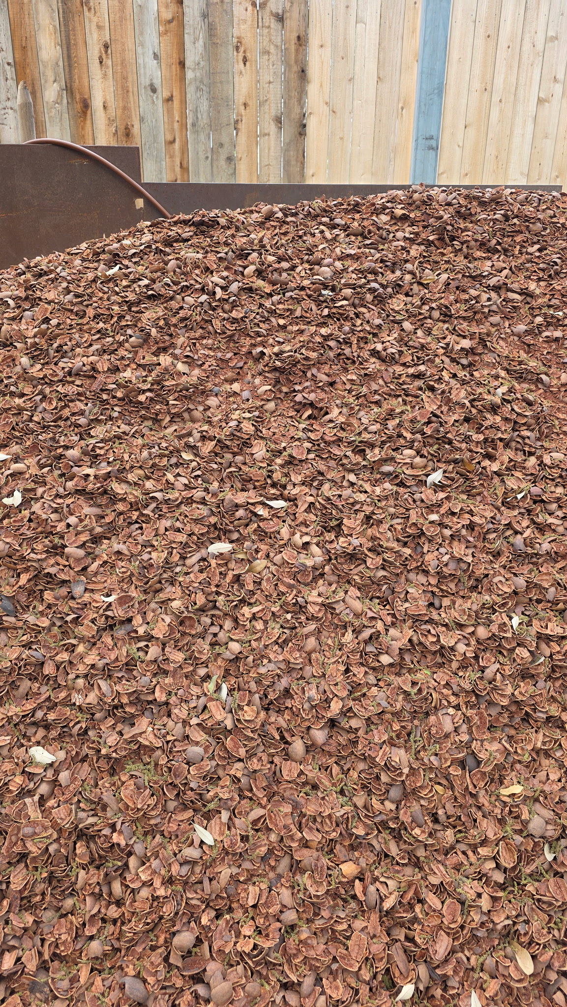 Pecan Mulch
