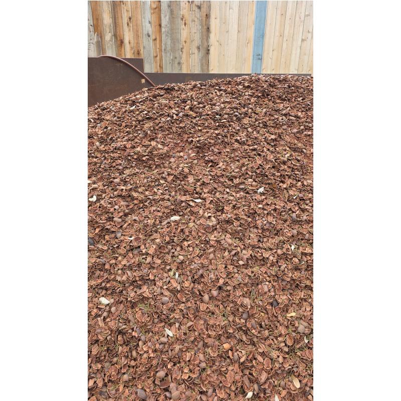 Pecan Mulch
